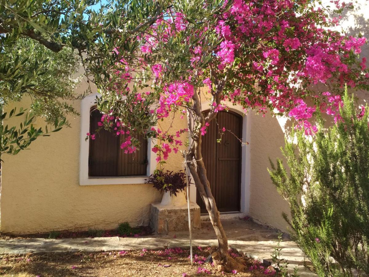 Porto Heli Apartments パレカストロ エクステリア 写真