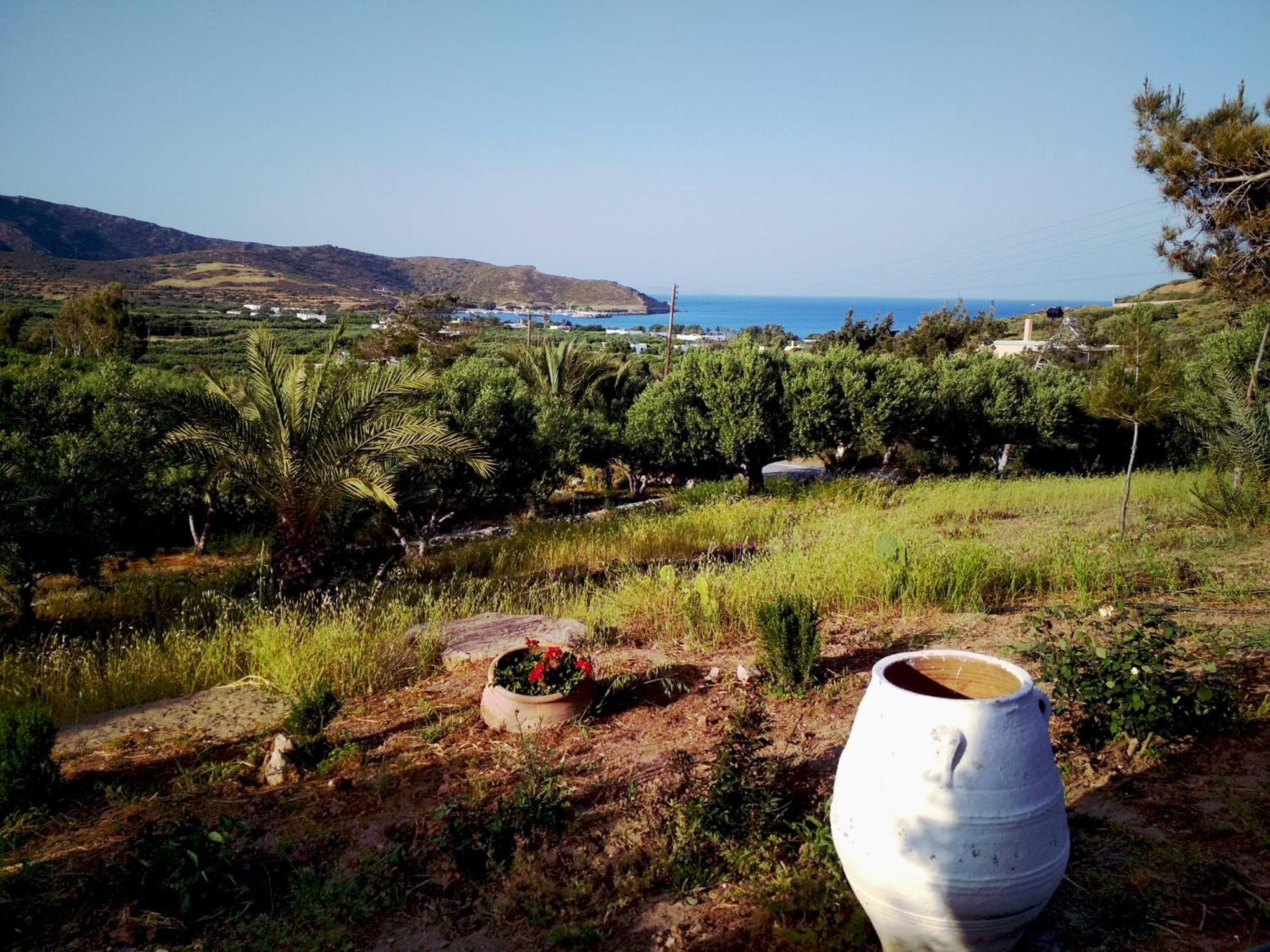 Porto Heli Apartments パレカストロ エクステリア 写真