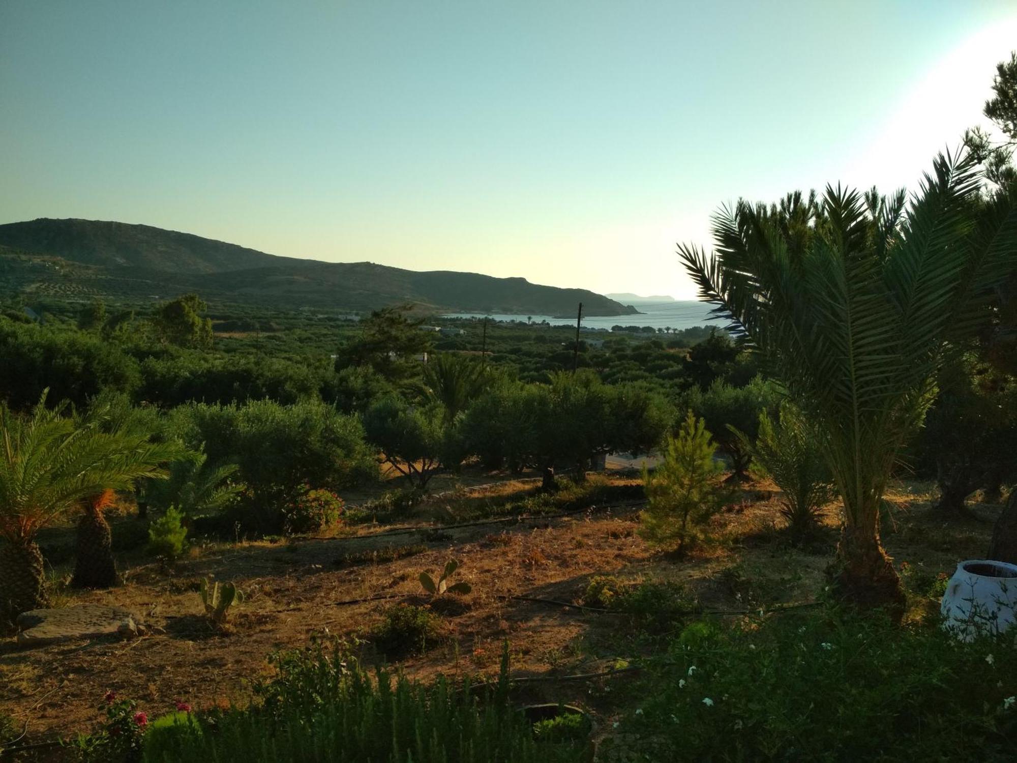 Porto Heli Apartments パレカストロ エクステリア 写真
